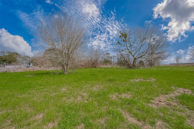 422 Fm 360th Rd, Beasley, TX 77417 - photo 7