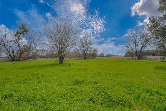 422 Fm 360th Rd, Beasley, TX 77417 - photo 8