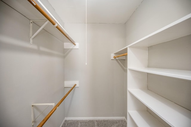 walk in closet featuring carpet