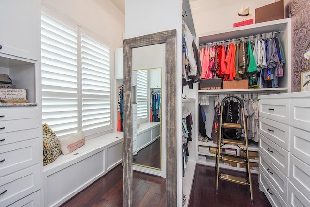 walk in closet featuring dark wood finished floors