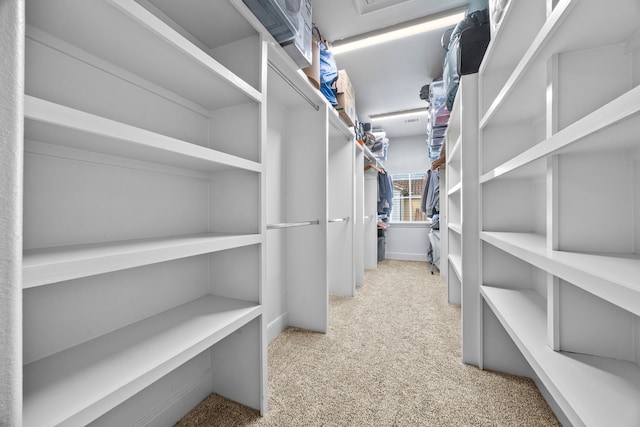 spacious closet with carpet flooring