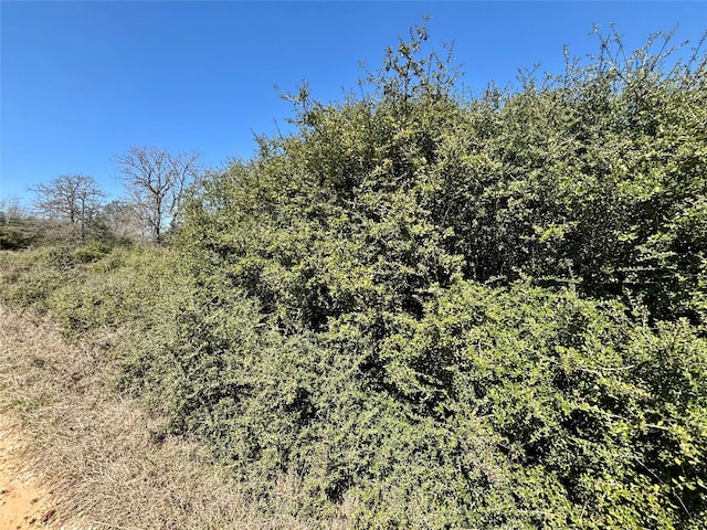 Listing photo 3 for TBD Golfway, Normangee TX 77871