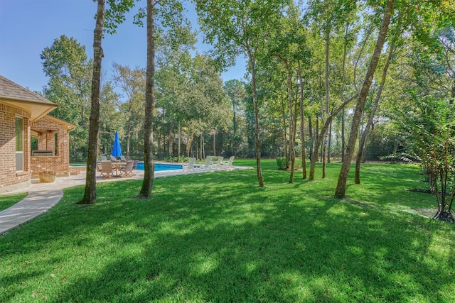 view of yard with a patio area and an outdoor pool