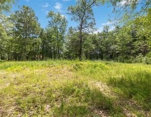 18516 N Rayburn Dr, Conroe TX, 77302 land for sale