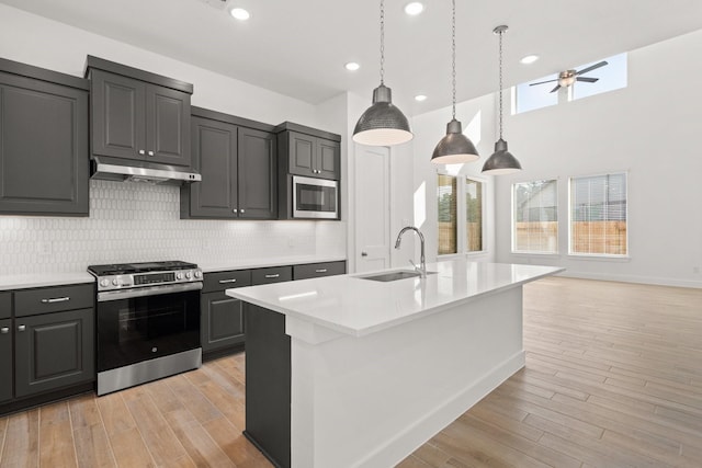 kitchen with under cabinet range hood, stainless steel appliances, a sink, and light wood finished floors