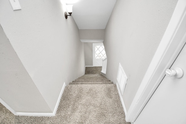 stairs featuring carpet flooring