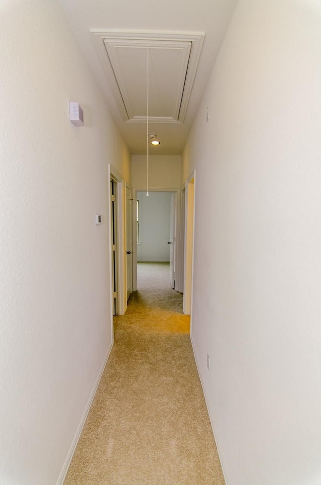 hallway featuring attic access, baseboards, and light carpet