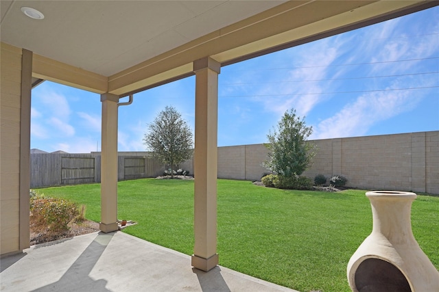 view of yard with a patio area and a fenced backyard