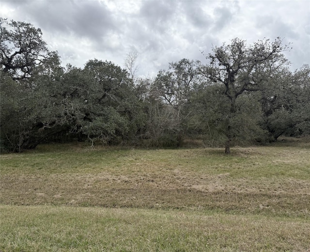 114 Center Tree Dr, Palacios TX, 77465 land for sale