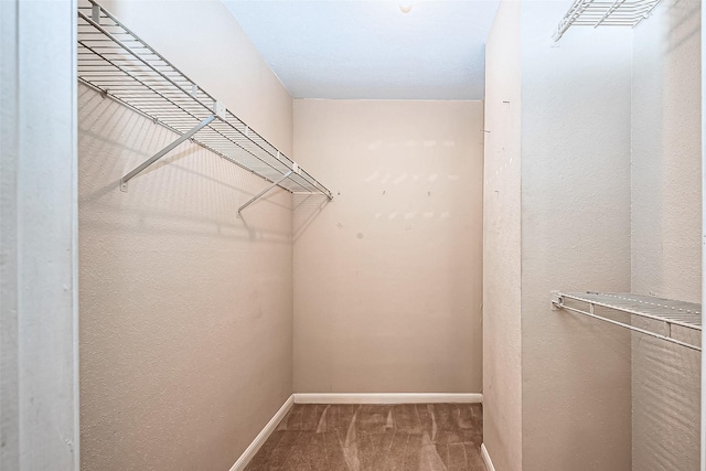 spacious closet featuring carpet flooring