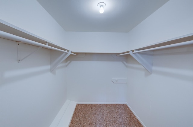 walk in closet with carpet