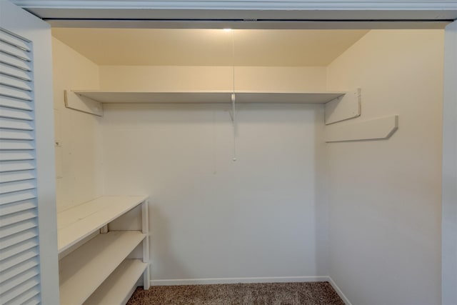 spacious closet featuring carpet