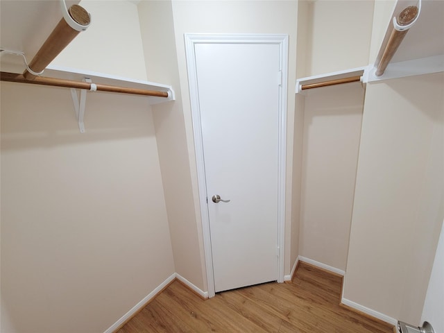 walk in closet with light wood-style flooring