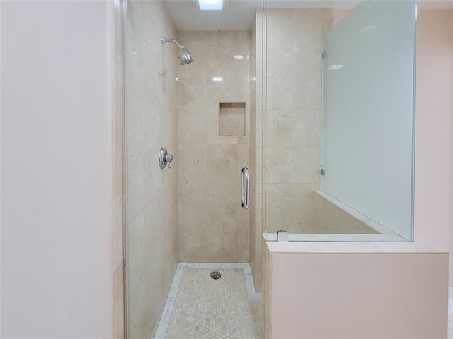 bathroom with a shower stall