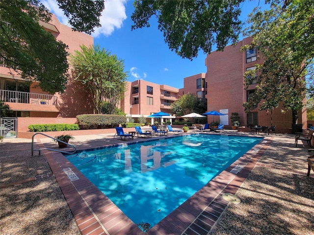 view of pool with a patio area