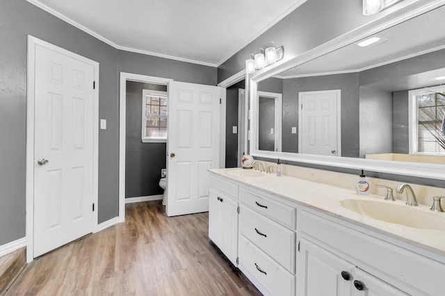 full bathroom featuring ornamental molding, double vanity, a sink, and wood finished floors