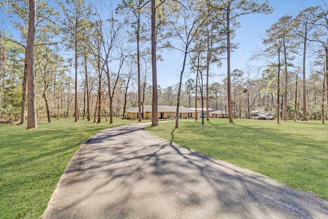 view of road with aphalt driveway