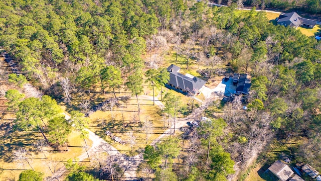 drone / aerial view