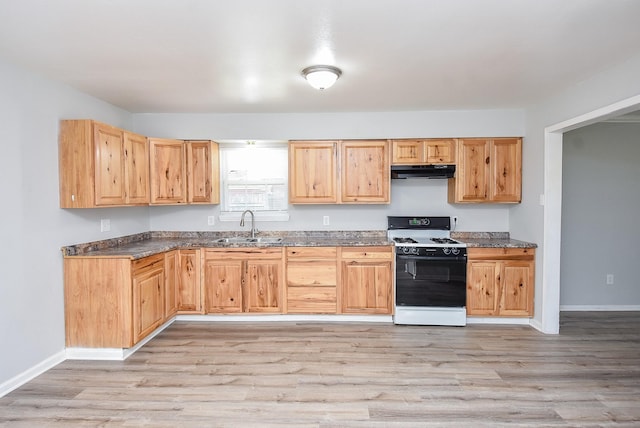 kitchen with baseboards, light wood-type flooring, under cabinet range hood, a sink, and gas stove