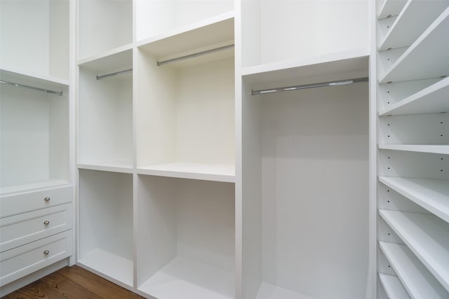 spacious closet featuring dark wood-style flooring