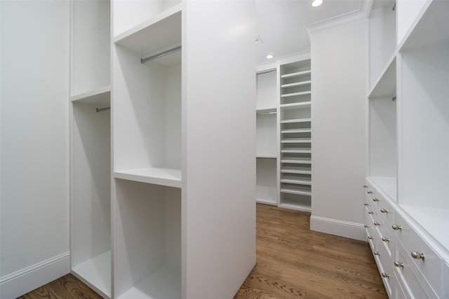 walk in closet with dark wood-style floors