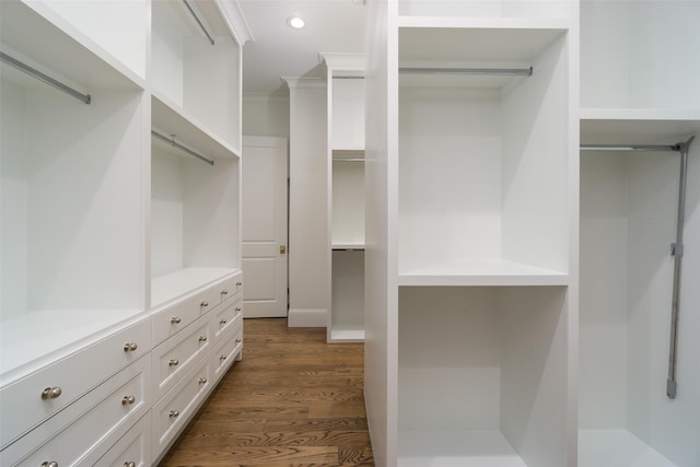 spacious closet featuring dark wood-type flooring