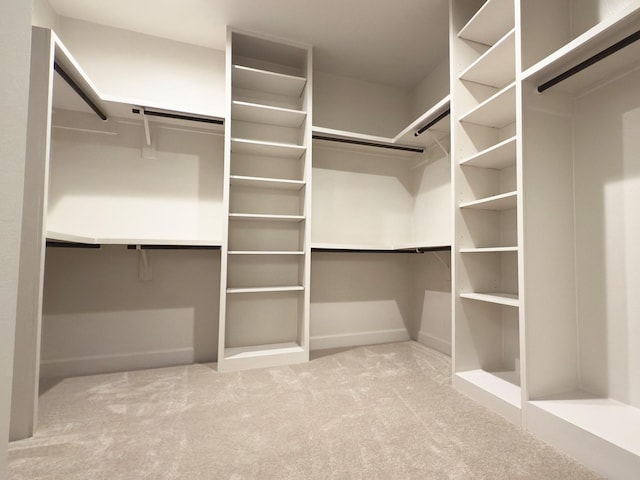 spacious closet featuring carpet flooring