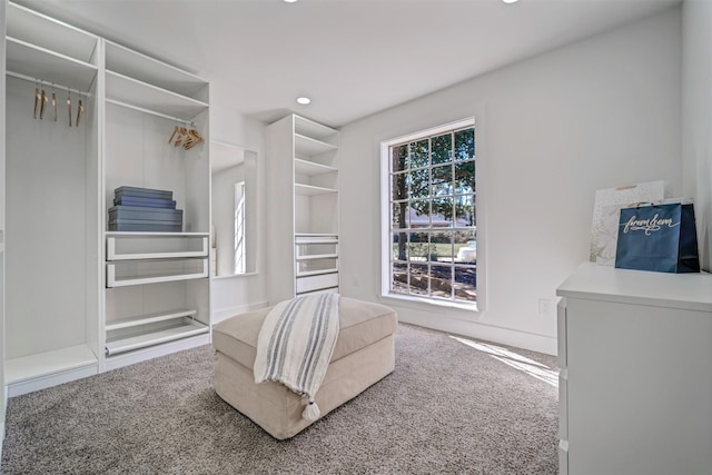 walk in closet with carpet