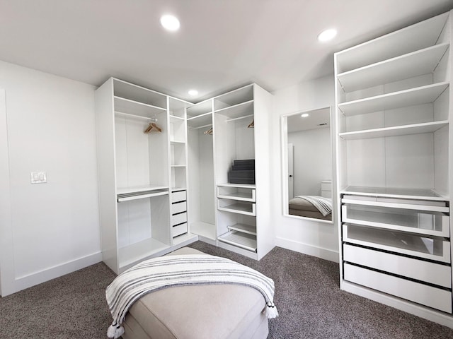 spacious closet with dark colored carpet