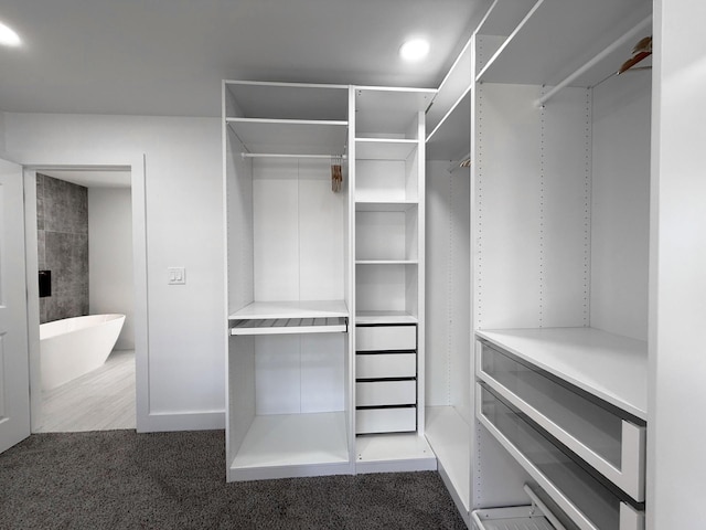 spacious closet featuring carpet floors