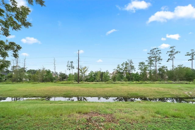 view of local wilderness featuring a water view