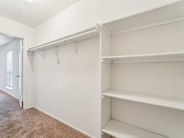 walk in closet featuring carpet flooring