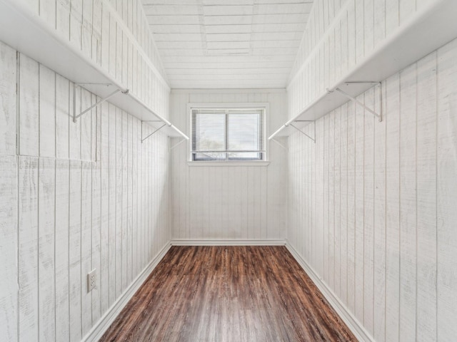 walk in closet featuring wood finished floors