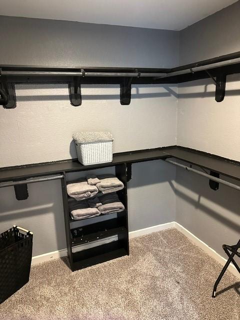 spacious closet featuring carpet flooring