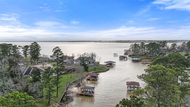 water view featuring a boat dock