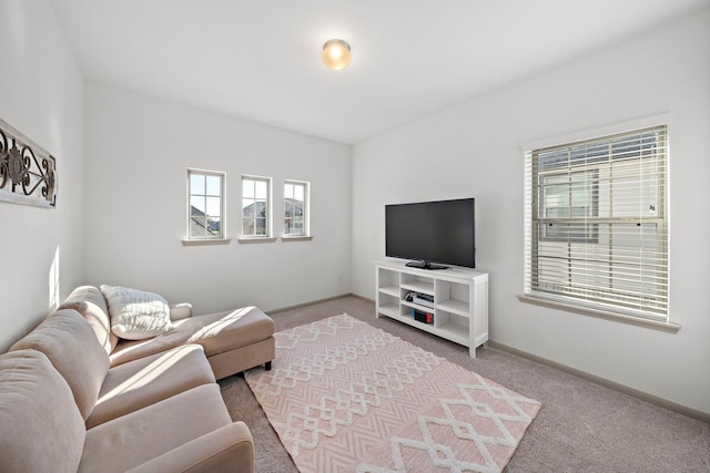 living room featuring carpet floors and baseboards