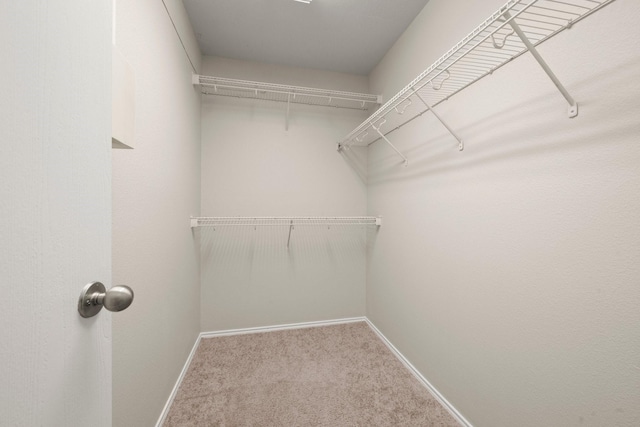 walk in closet with carpet