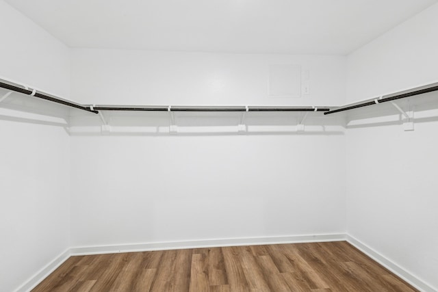 22450 Birchfield Grove Ln, New Caney, TX 77357 - spacious closet featuring wood finished floors