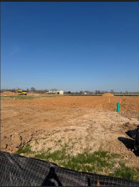 view of yard with a rural view