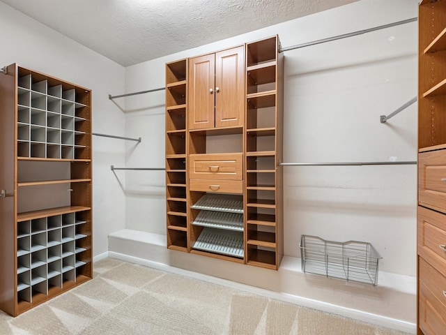 walk in closet with carpet