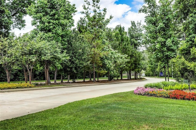 view of community featuring a lawn