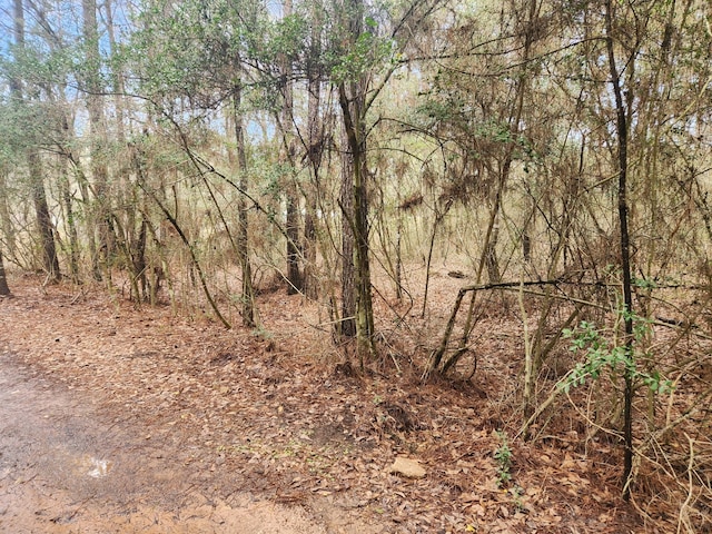 LOT28 Sycamore Ln, Plantersville, TX 77363 - photo 5