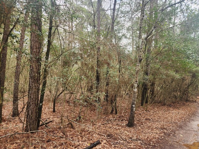 LOT28 Sycamore Ln, Plantersville, TX 77363 - photo 13