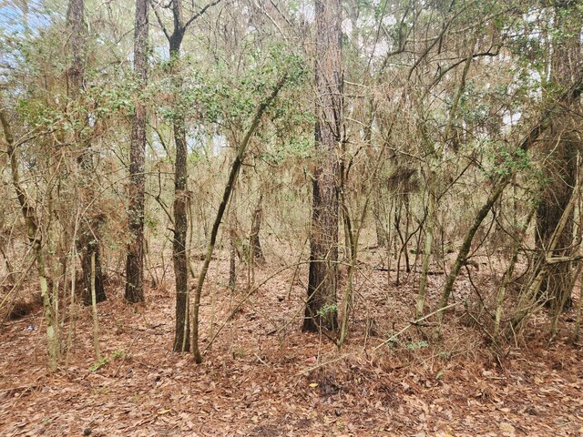 LOT28 Sycamore Ln, Plantersville, TX 77363 - photo 9