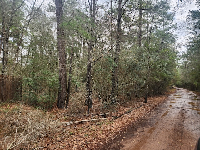 LOT28 Sycamore Ln, Plantersville TX, 77363 land for sale