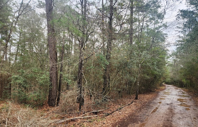 Listing photo 3 for LOT28 Sycamore Ln, Plantersville TX 77363