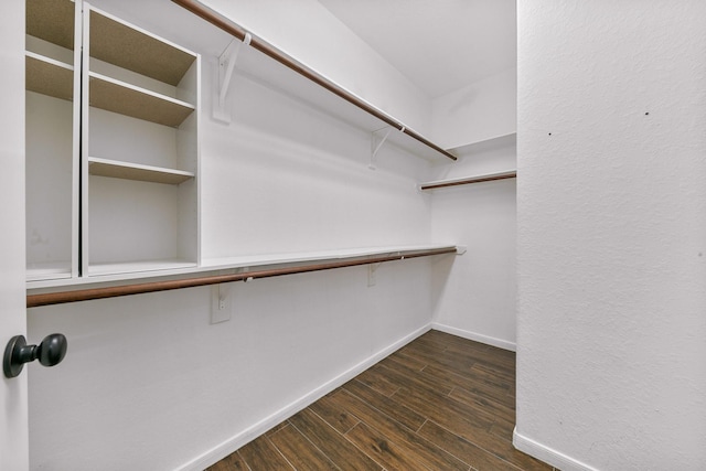 walk in closet featuring dark wood-style flooring