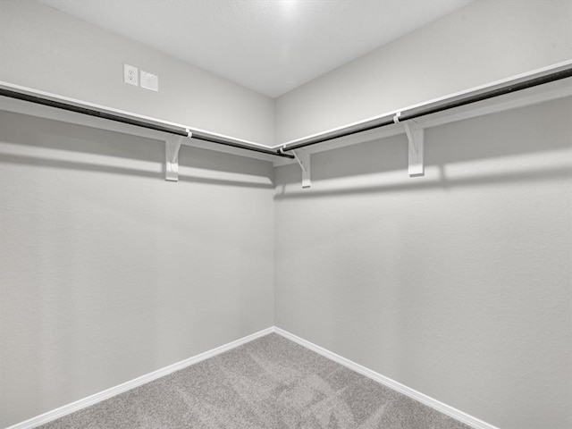 spacious closet with carpet flooring