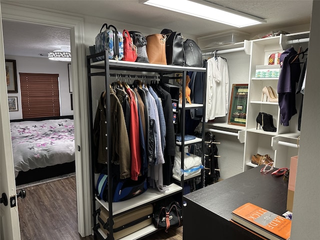 spacious closet featuring wood finished floors