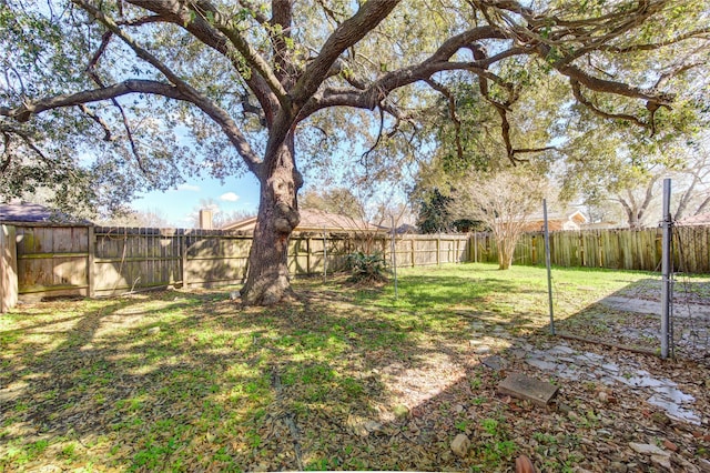 view of yard with a fenced backyard